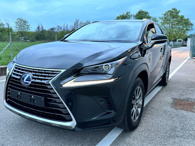 Lexus NX300h, 2500 l., Visureigis