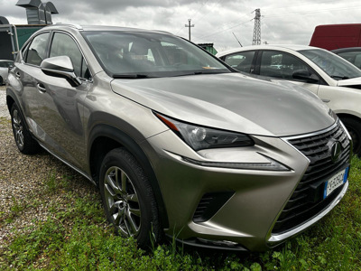 Lexus NX300h, 2500 l., Visureigis