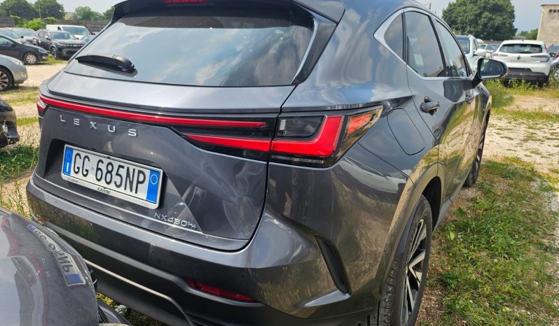 
								LEXUS NX-450h+ Plug-in full									